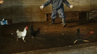 China detecta el primer caso mundial de gripe aviar H10N3 en humanos 