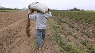Midagri prevé que llegada de fertilizantes será para la segunda semana de agosto 