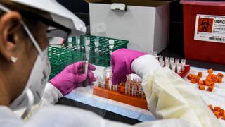 Martín Vizcarra: “Estamos en conversaciones con 6 laboratorios para la adquisición de 30 millones de vacunas”