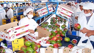 Exportaciones peruanas anotan caída de 27% en el primer semestre, según Adex 