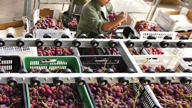 Agroexportaciones crecerán 7.4% este año, informó ADEX