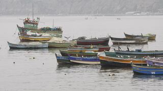 Segunda temporada de pesca de anchoveta inicia mañana con cuota de 2.78 millones de toneladas