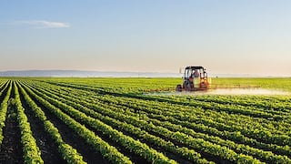 Midagri: Compras estatales a la agricultura familiar sumarían S/ 300 millones el próximo año 