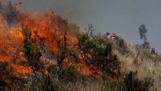 Controlan parte del incendio forestal en Tarma
