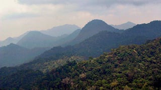“Sierra del Divisor es única, es la joya de la corona de las áreas protegidas en el Perú”