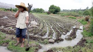 Agricultores afectados por El Niño costero tendrán bono de hasta S/6,075