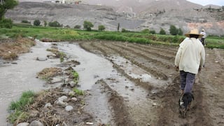 Conveagro: "Minagri no tiene las competencias para solucionar problema del agro rural"