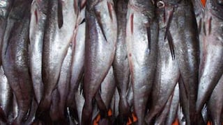 Produce establece régimen provisional de pesca de merluza por periodo de un año