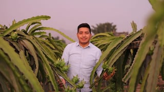 Emprendedor incansable: Wilmer Barrios, el nuevo rey de las pitahayas