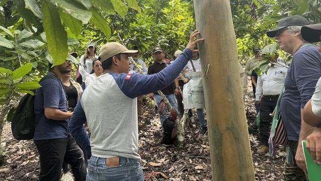 SERFOR recibe curso de carbono forestal en San Martín