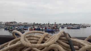 Construcción del puerto de Paracas amenaza la reserva