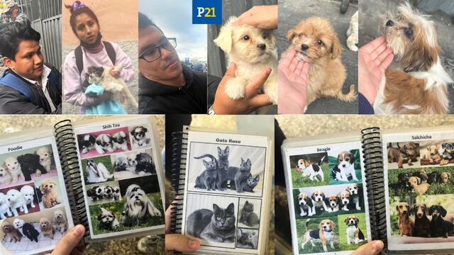 Tráfico de mascotas sigue campeando en el Centro de Lima