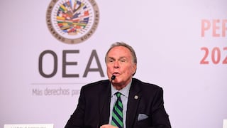 Harold Forsyth: Visita de la OEA al Perú no es un triunfo del Gobierno, es un triunfo del país