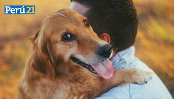 La longevidad se determina conociendo el tamaño y raza del perro.