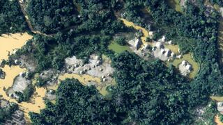 Perú perdió 2 millones de hectáreas amazónicas