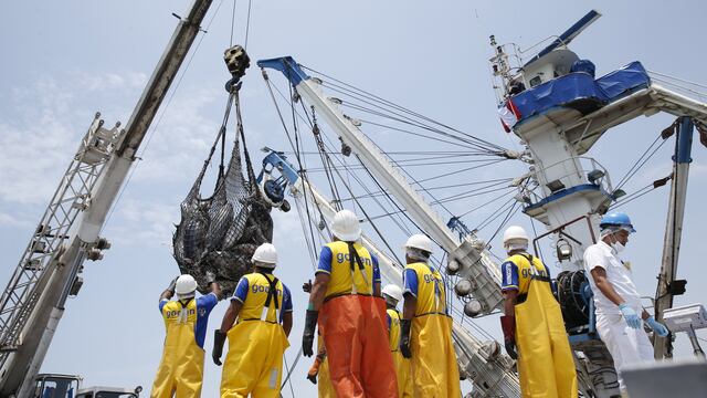 La exportación pesquera para consumo humano directo tendrá un crecimiento del 10% en el 2019