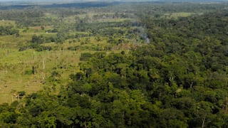 Deforestación en la Amazonía peruana se redujo en 4.1 %, según el Minam