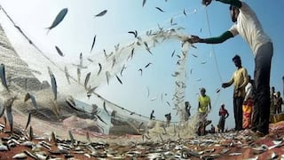 Derrame de petróleo afectará durante años a más de 1,500 pescadores artesanales, según Calamasur