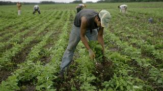 Fabiola Muñoz afirma que la Ley de Promoción Agraria “es una norma que el país necesita”