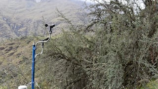 Huancayo: Instalan la primera estación meteorológica en bosque del distrito de Parihuanca