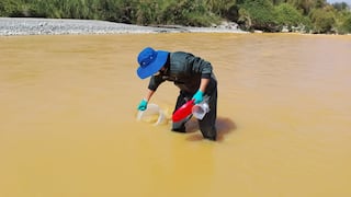 Moquegua: ANA inspecciona afectación del río Tambo por actividad minera