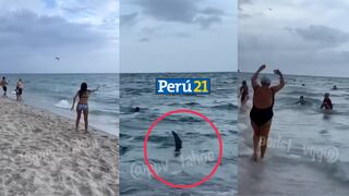 ¡Peligro en la costa! Tiburón pasea en medio de bañistas en Miami (VIDEO)