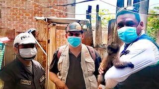 San Martín: rescatan a mono machín que permanecía enjaulado en una vivienda de Juanjuí