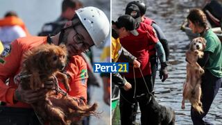Rescatan a cientos de mascotas de las inundaciones en el Sur de Brasil | VIDEOS