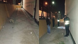 Hallan paquetes con droga abandonados en zonas perimétricas del penal de Chimbote