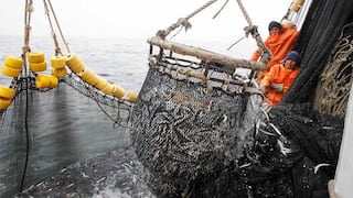 Sector pesca: ¿qué debemos hacer para estar a la par de Chile y Ecuador en exportación?