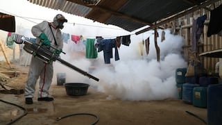 Prevenidos ante El Niño: Confirman más de dos mil casos de dengue en Ica