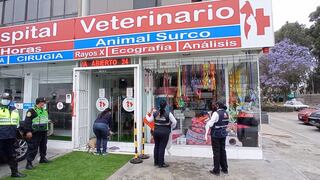 Surco: clausuran veterinaria que solo tenía permiso para baños, pero ofrecía servicios médicos | FOTOS