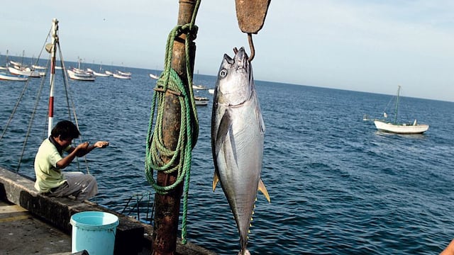 Produce: pesca en pequeña escala provee el 90% del empleo en el sector