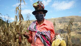 Pobladores de Huancavelica están sobreviviendo a base de derivados del maíz durante la pandemia