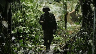 Ecuador detecta guerrilleros de las FARC en su territorio