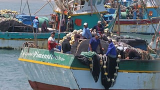 El Perú es potencia mundial con la pesca de anchoveta