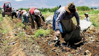 Ministro Jorge Montenegro: “La meta del sector agropecuario es crecer más de 4.1% este año”