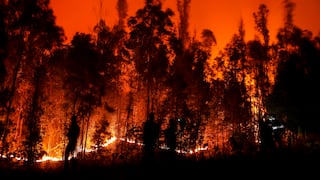 Incendios en Chile continúan y ya se contabilizan 23 muertos 