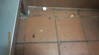 Pizza Hut: Clausuraron su local de La Molina por hallazgo de cucarachas