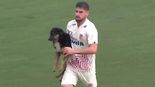 Un travieso perrito se metió a la cancha durante el UTC vs. Sporting Cristal