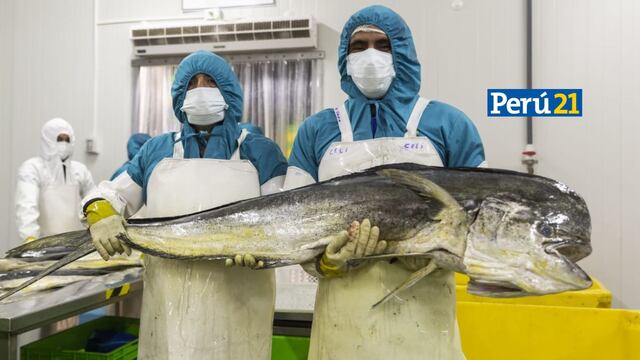 Perú destaca en EE.UU. por avances en la industria pesquera del perico con prácticas sostenibles