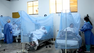 Dengue en el Perú: Minsa confirma 114 muertos y más de 85 mil casos 