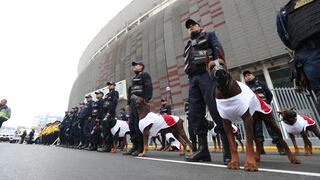 MML destinará mil efectivos de seguridad para resguardar el partido Perú vs. Escocia