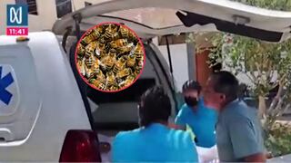 ¡Trágico final! Anciana que murió en Piura fue atacada por 200 abejas