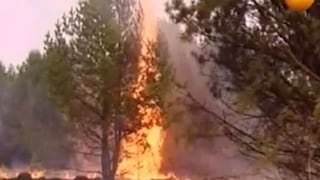 Rusia: Fuego consume más de 56 mil hectáreas de bosques
