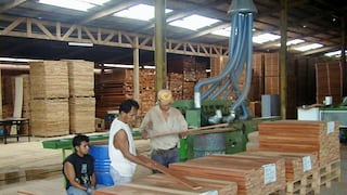 Coronavirus en Perú: Fabricarán ataúdes con madera de tala ilegal en la región Ucayali