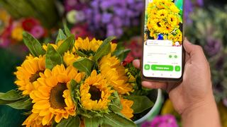 El mercado mayorista de flores se digitaliza