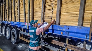 Inmovilizan 53.33 metros cúbicos de madera que no procedían de plantación forestal declarada