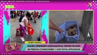 “¿López Aliaga no sabe qué pasa en Lima?”: Denuncian venta de animalitos en Centro de Lima 