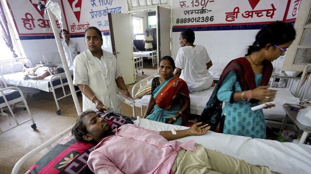 India: Todo lo que se sabe sobre la epidemia de virus Nipah